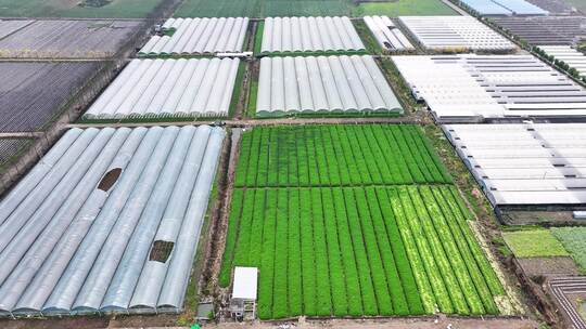 4k航拍现代农业基地  农业产业乡村振兴