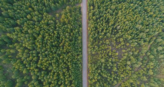 航拍穿越绿色林海的公路