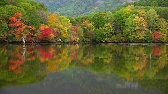 秋天山水枫叶林