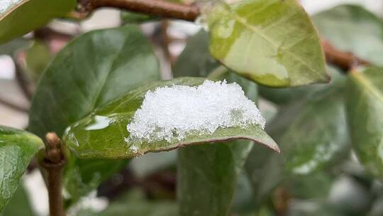 冬天的白雪视频