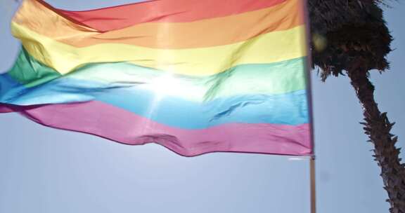 同性恋骄傲，旗帜，挥舞，同性恋