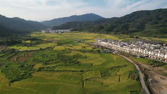 婺源-篁岭-稻田-航拍大师镜头