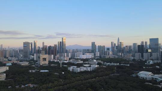 深圳大学 大学 教育 深大 校园