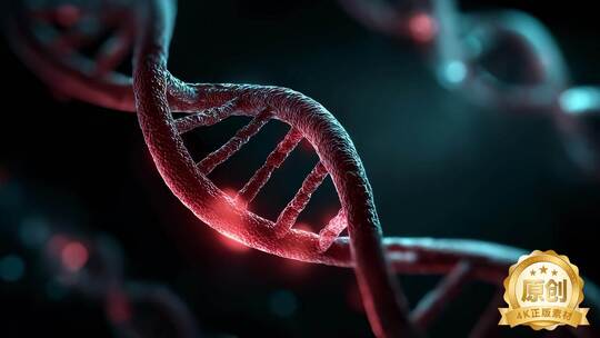 解码生命再生焕活新生