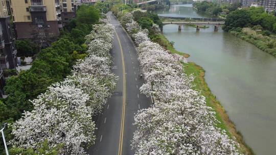 航拍城市风景 车流