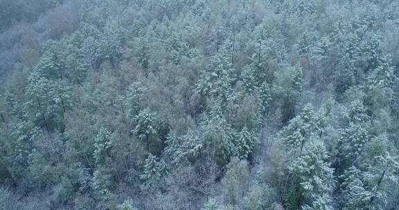 航拍大兴安岭春季降雪山林雾凇