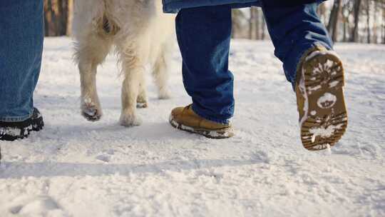 女人，男人，狗，雪