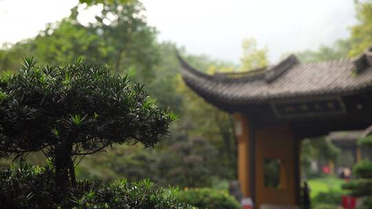 杭州飞来峰永福寺禅院风景