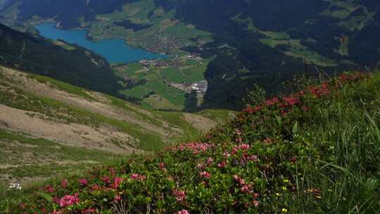 山谷山峰森林风景优美高山山顶风景自然树木