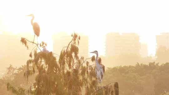 中国广东省广州市番禺区