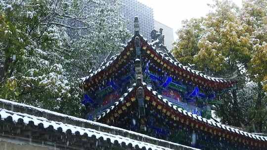 大雪 冬至 大寒　西安古建筑罔极寺