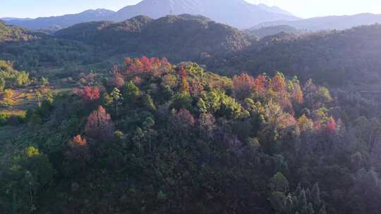 山间秋天色彩