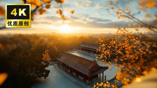 北京故宫秋日故宫金色光影故宫夕阳落日剪影