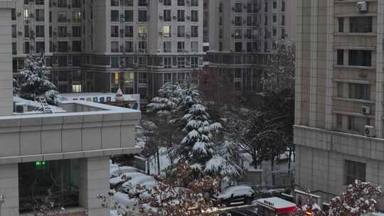 航拍雪景 冬至节气 冬天雪景  冬季