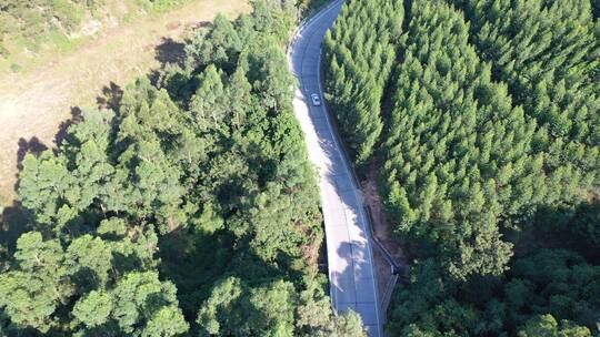 森林公路航拍树林道路汽车行驶航拍山区山路