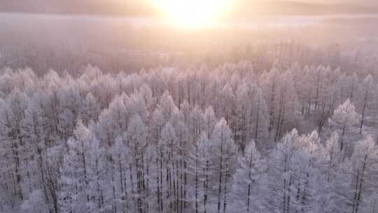 林海雪原雾凇暖阳视频素材模板下载
