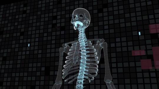 骨骼肺部高科技成像视频素材模板下载
