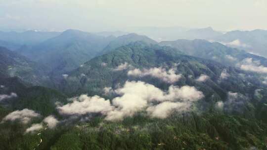 航拍清晨的大山云雾缭绕