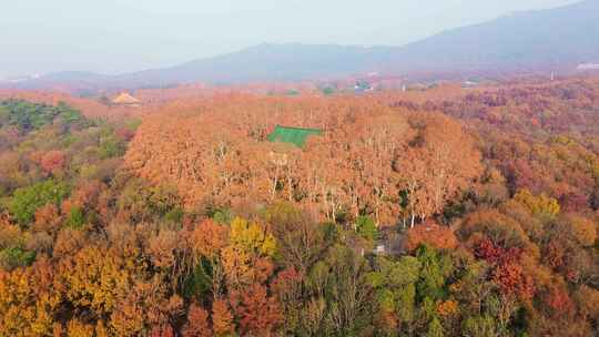 航拍秋季清晨南京中山陵风景区美龄宫