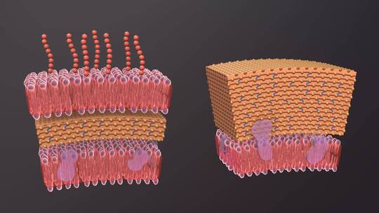 医学病原体病毒病原体病菌细菌医学三维动画