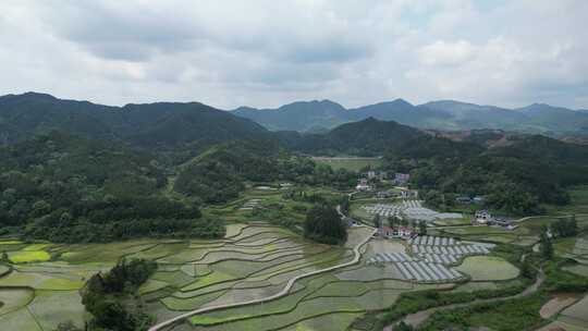 航拍乡村田野