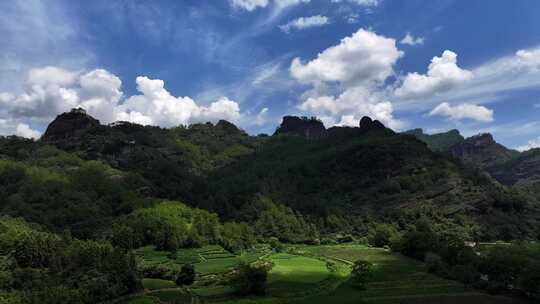 唯美茶园风光川茶基地名山茶