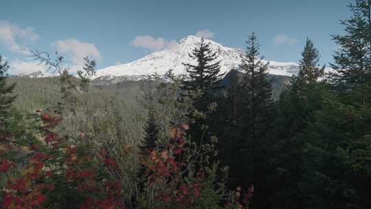 山，雪，森林，风景