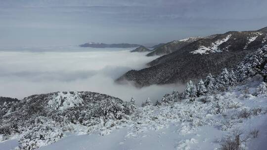 航拍湖北神农架风景区冬季雪山冰雪风光雪景