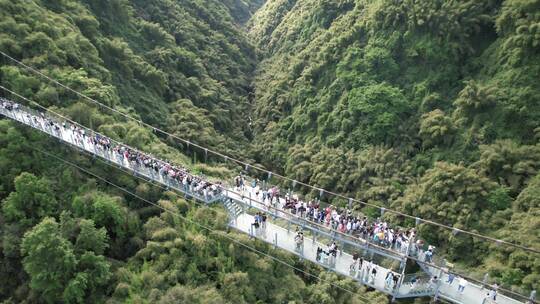 川西竹海森林玻璃桥吊桥
