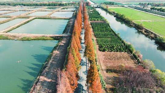 杭州钱塘区观十五线秋景航拍