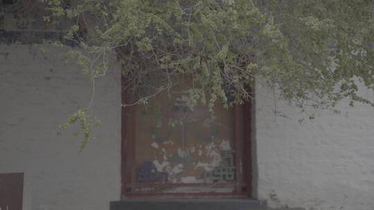 西藏绿植视频素材模板下载