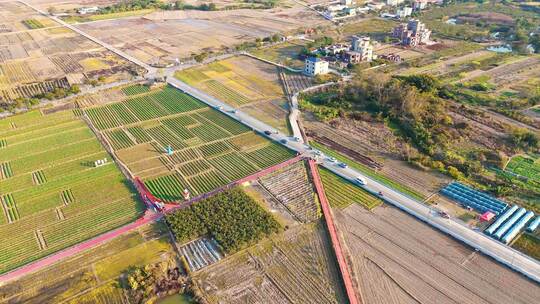 航拍冬季白昼晴朗天空下的农村稻田产业