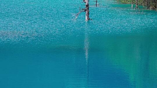 蔚蓝色的湖泊视频素材模板下载