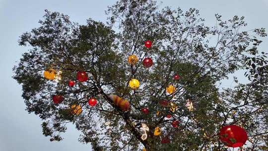 树上悬挂灯笼装饰