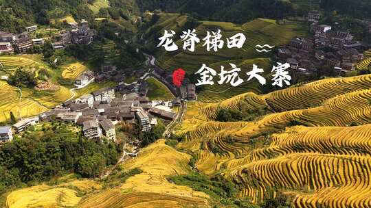 俯瞰梯田自然风光