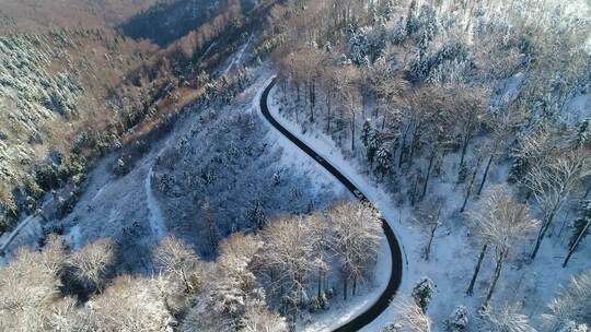 雪林中弯曲的冬季乡村公路上行驶的汽车鸟瞰图