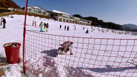 神农架滑雪场视频素材模板下载