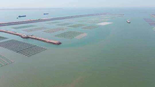 鲅鱼圈 海养殖 海岸 大海