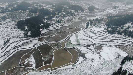 航拍南方农业种植水田雪景