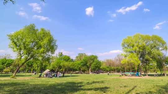 春天蓝天草坪公园里露营搭帐篷野餐的人们