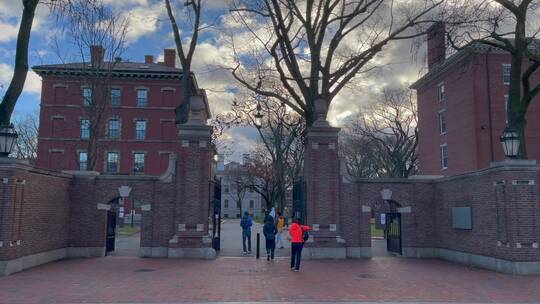 实拍冬季的美国哈佛大学校园