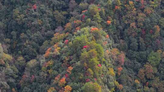 4K大气航拍重庆光雾山山脉风景区