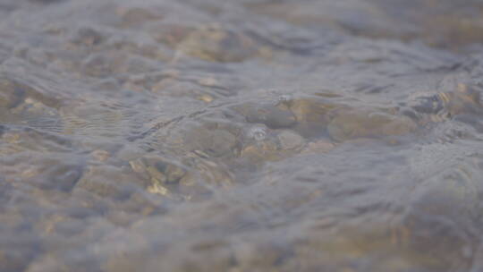 清澈见底的溪水流水升格4k100帧灰片
