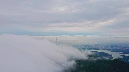 深圳梧桐山