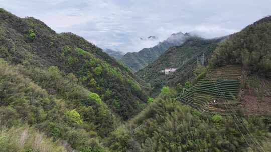 黄山茶山云雾猴坑村航拍