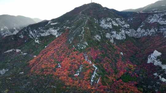 秋日红叶森林航拍满山红叶