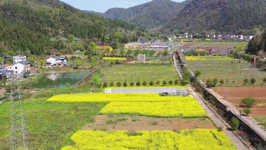 航拍花海田园风光