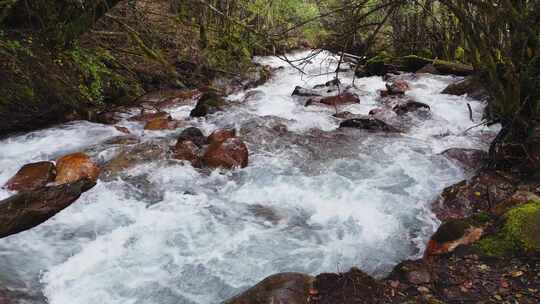 清澈山涧溪流水花