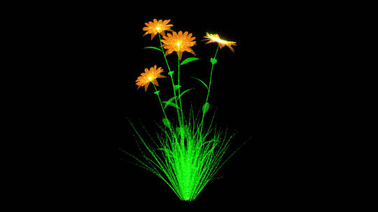 花朵旋转循环