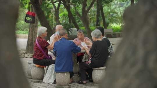 公园里打牌 下象棋的人 退休生活
